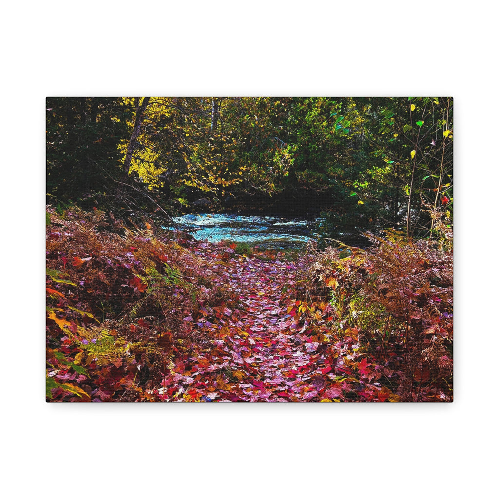 Autumn Forest Path Matte Canvas Print — Stretched 1.25" Wall Art