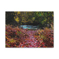 Autumn Forest Path Matte Canvas Print — Stretched 1.25" Wall Art