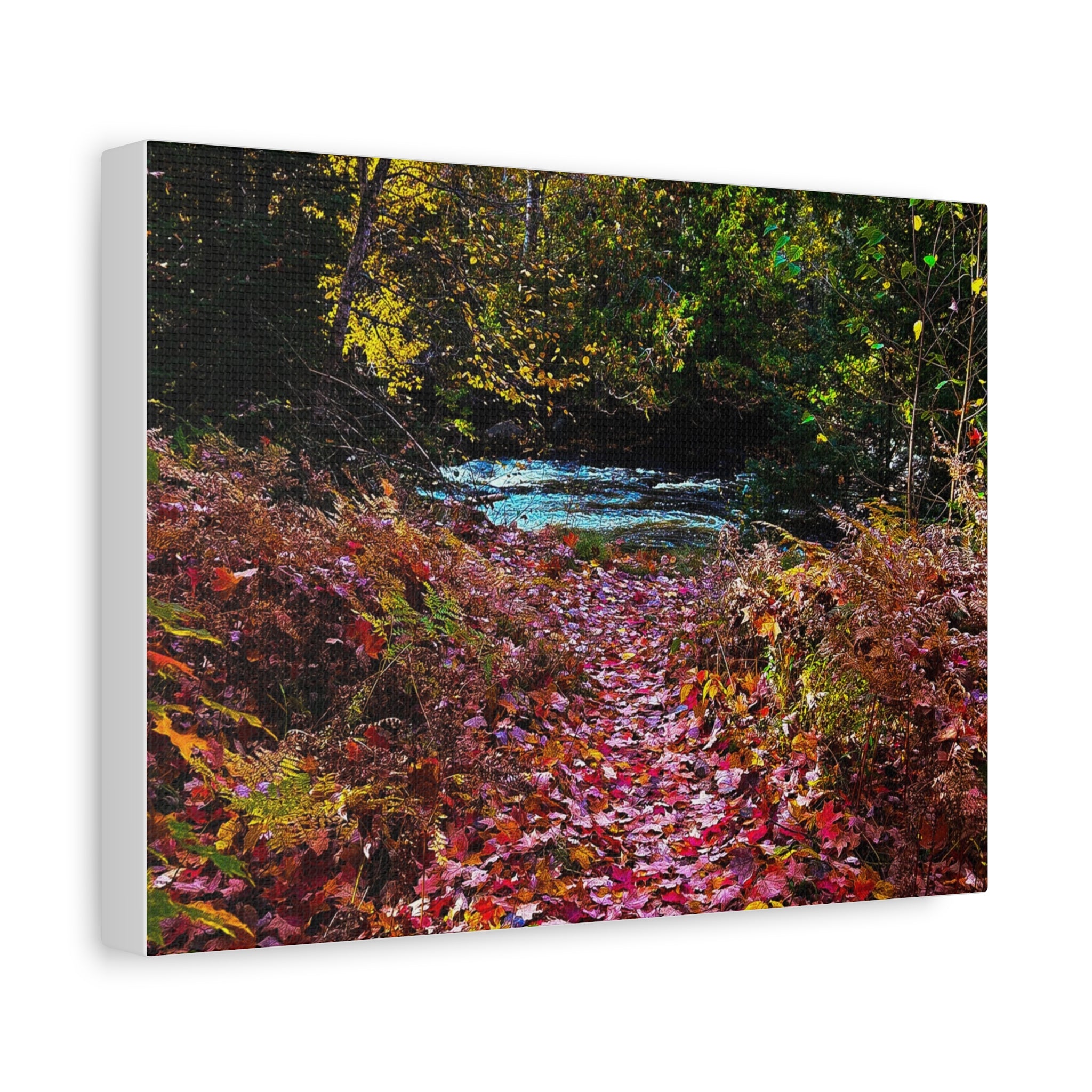 Autumn Forest Path Matte Canvas Print — Stretched 1.25" Wall Art