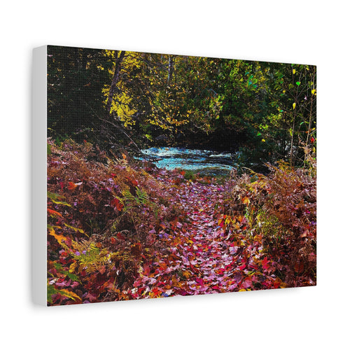 Autumn Forest Path Matte Canvas Print — Stretched 1.25" Wall Art