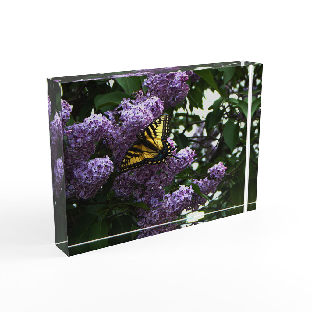 Butterfly on Lilac Photo Block – Spring Nature Decorative Display