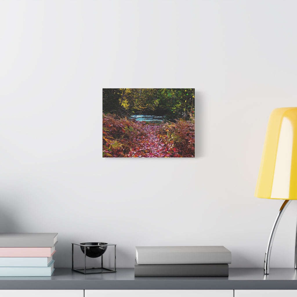 Autumn Forest Path Matte Canvas Print — Stretched 1.25" Wall Art