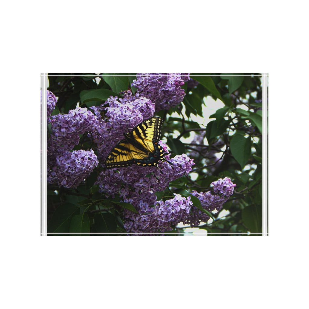 Butterfly on Lilac Photo Block – Spring Nature Decorative Display