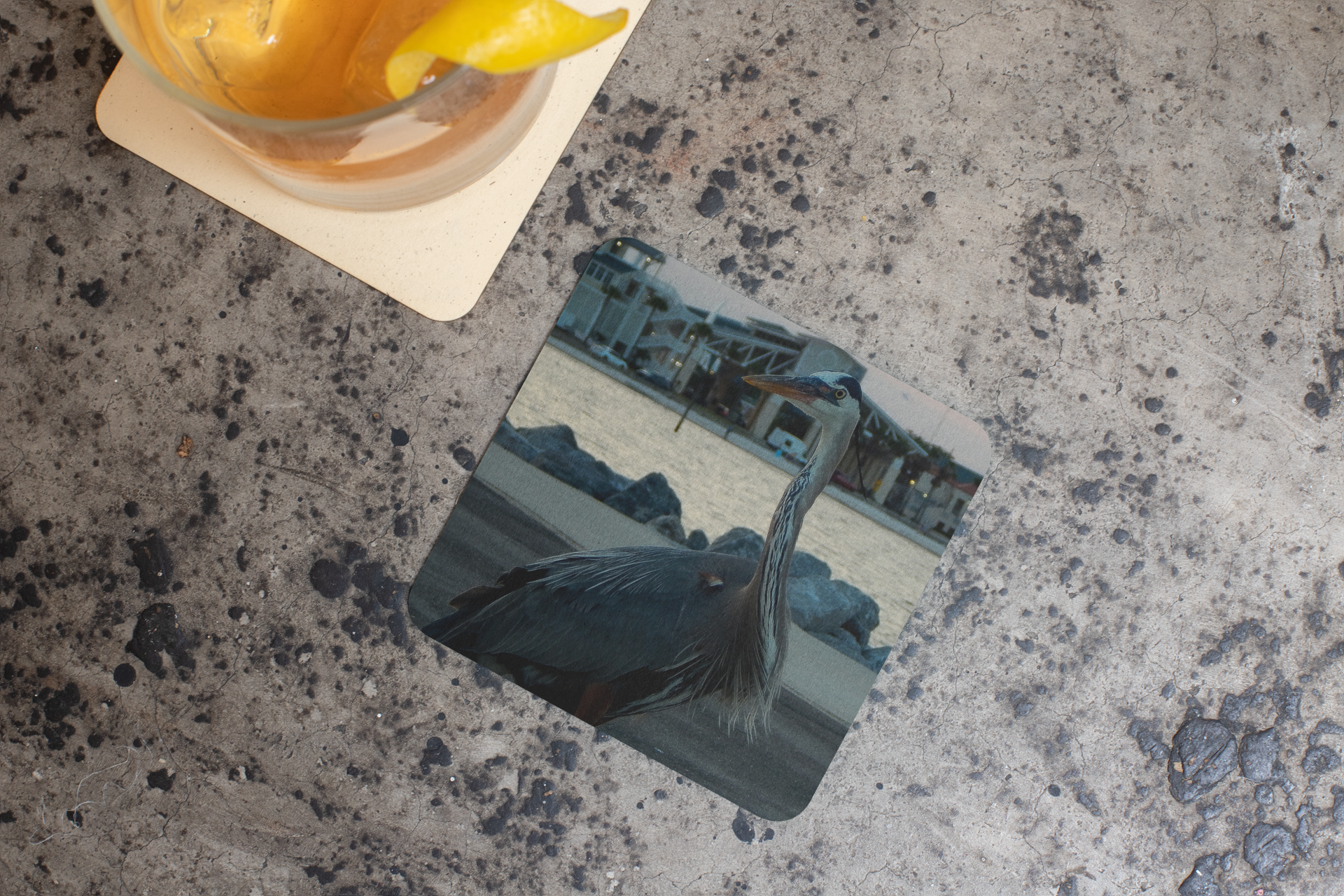 Heron Photo Coaster Set (4) — Coastal Wildlife Drink Coasters with Cork Backing