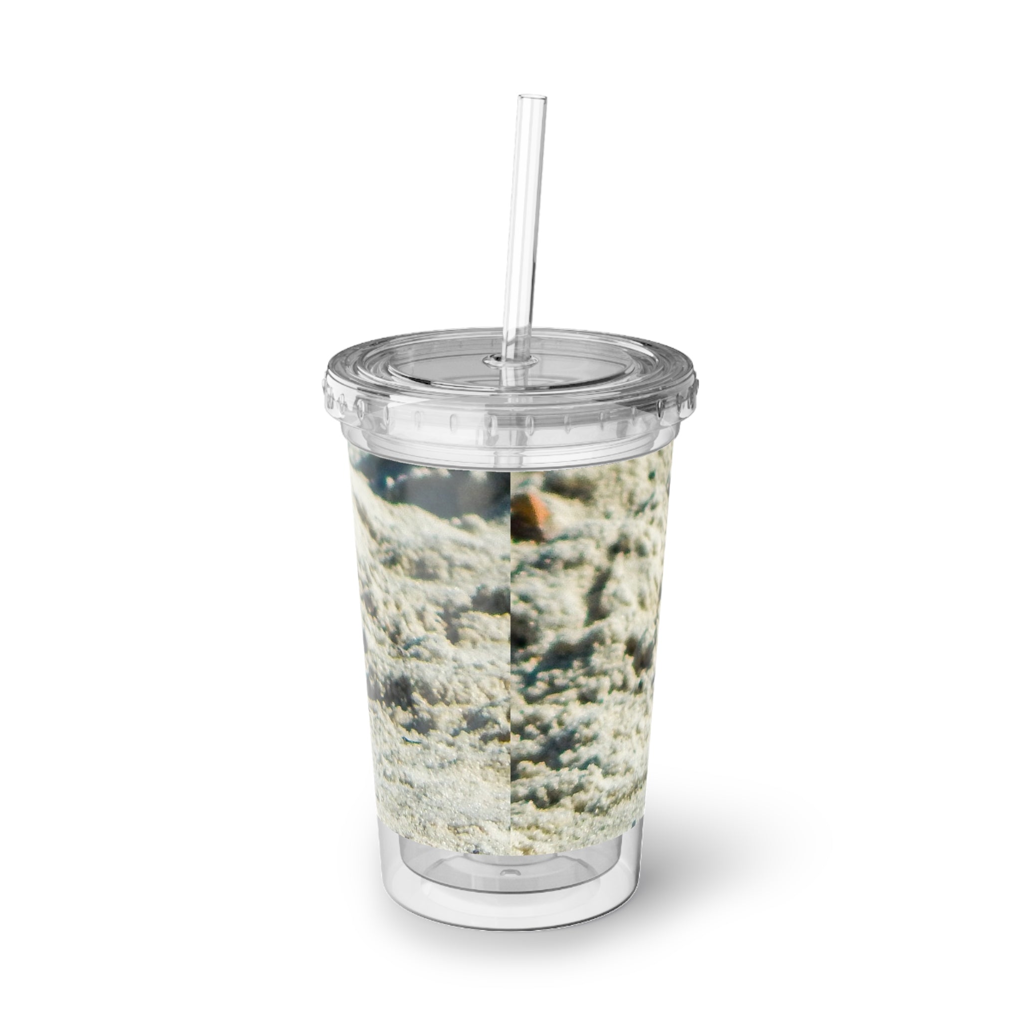 Beach Sandpiper Acrylic Tumbler — Insulated Clear Cup with Coastal Shorebird Photo