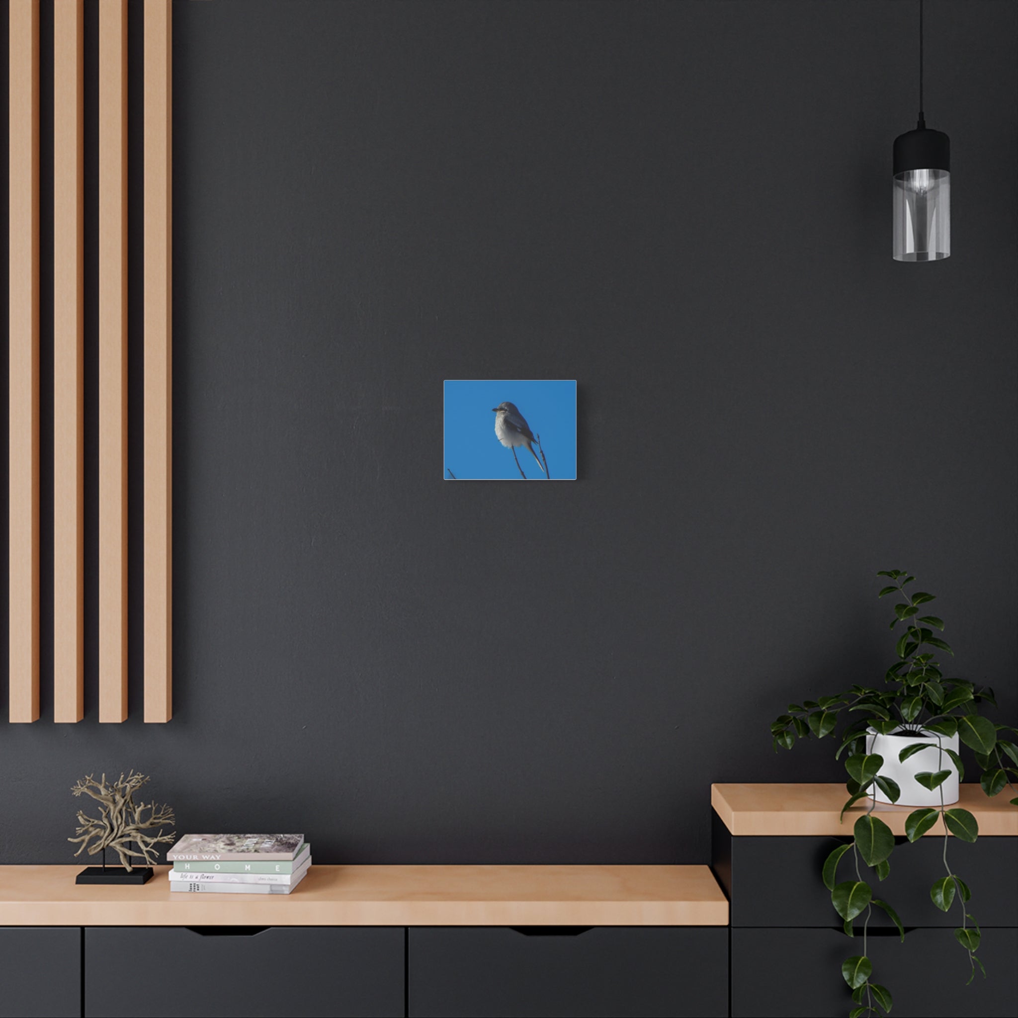 Loggerhead Shrike Canvas Print - Matte Stretched Wall Art